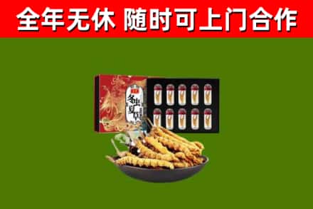 盐池县回收冬虫夏草价格
